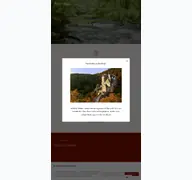 Kleine Seitenvorschau von ringelsteiner-muehle.de