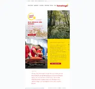 Kleine Seitenvorschau von schellinger-kg.de