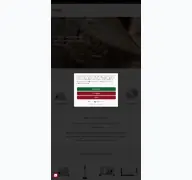 Kleine Seitenvorschau von ritterwerk.de