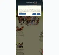 Kleine Seitenvorschau von howrse.de