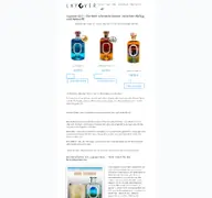 Kleine Seitenvorschau von layover-gin.de