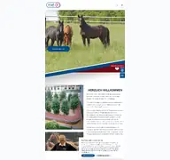 Kleine Seitenvorschau von kraft-fuehranlagen.de