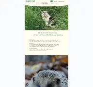 Kleine Seitenvorschau von tierschutzvereinfritzlar.de