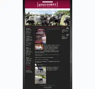Kleine Seitenvorschau von reinwald-gmbh.de