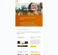 Kleine Seitenvorschau von freiwilligendienste-caritas.de