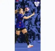 Kleine Seitenvorschau von rostocker-handballclub.de