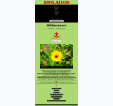 Kleine Seitenvorschau von amication.de