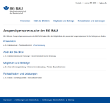Kleine Seitenvorschau von ansprechpersonen.bgbau.de