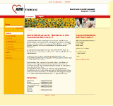 Kleine Seitenvorschau von awo-mainz.de
