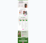 Kleine Seitenvorschau von cactusblog.de