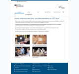 Kleine Seitenvorschau von cert-bund.de