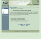 Screenshot-Vorschau von cyber-connect.de