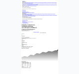 Kleine Seitenvorschau von datafirstsolutions.de