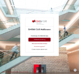 Kleine Seitenvorschau von elearning.cas.dhbw.de
