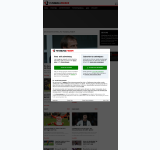 Kleine Seitenvorschau von fussballfieber.de