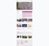 Kleine Seitenvorschau von fzdkmi.h-da.de