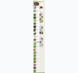 Kleine Seitenvorschau von gartenfreunde.de