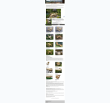 Kleine Seitenvorschau von gartenmoebel-robinienholz.de