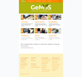 Kleine Seitenvorschau von gemos-management.de