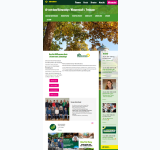 Kleine Seitenvorschau von gruene-schwabing.de