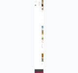 Kleine Seitenvorschau von informationsdienst-holz.de