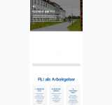Kleine Seitenvorschau von karriere.fli.de