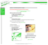 Kleine Seitenvorschau von keepfree.de