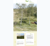 Kleine Seitenvorschau von lev-biberach.de