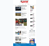 Kleine Seitenvorschau von neue-szene.de