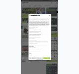 Kleine Seitenvorschau von next.fussball.de