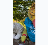 Kleine Seitenvorschau von phynix-hhu.de