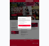 Kleine Seitenvorschau von prosiebensat1.de