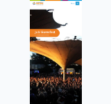 Screenshot-Vorschau von schwarz-orange-bunt.de