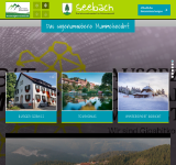 Kleine Seitenvorschau von seebach.de