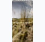 Screenshot-Vorschau von sh-mediacenter.de