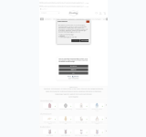 Screenshot-Vorschau von shop.fashy.de