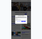 Kleine Seitenvorschau von spring-media.de