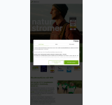 Kleine Seitenvorschau von strom.naturstrom.de