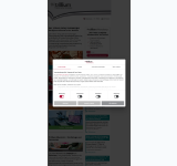 Screenshot-Vorschau von trillium.de