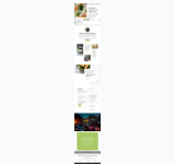 Kleine Seitenvorschau von vegetarischer-partyservice.de