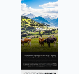 Kleine Seitenvorschau von webdesign-simmental.ch